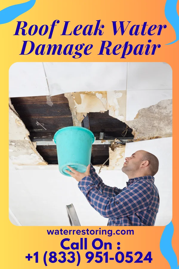 Roof Leak Water Damage Repair in Yznaga, TX
